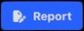 Report Pane